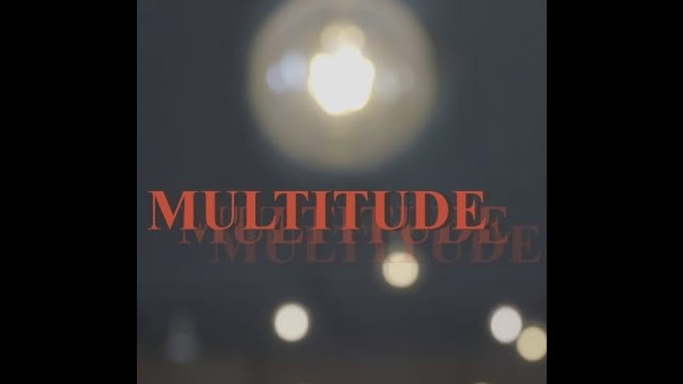 Multitude